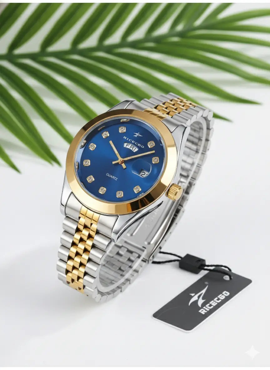 Montre Homme RICECGO Quartz Classique – Acier Bicolore UMII