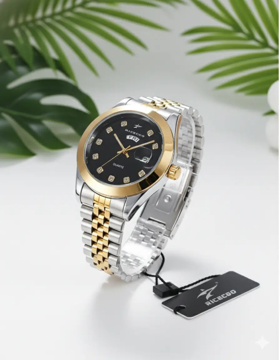 Montre Homme RICECGO Quartz Classique – Acier Bicolore UMII
