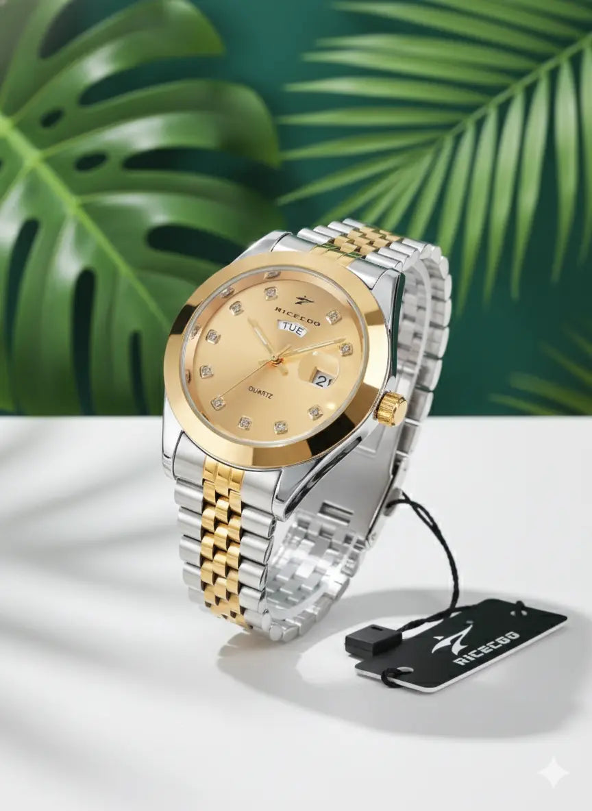 Montre Homme RICECGO Quartz Classique – Acier Bicolore UMII